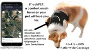 Worldwide Compatible Mini Portable GSM GPS Pet Collar Realtime Tracker Size:M