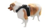 Waterproof Small Dog GPS Tracker Rechargeable Wireless Tracking Tools Size:M