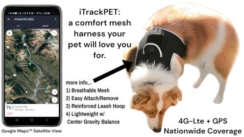 Wireless Portable GPS Cell Phone Pet Tracker Realtime Tracking Device Size:M