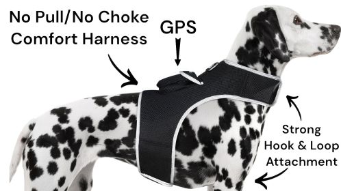 Pocket GPS Collar Tag Pet Tracker Realtime Tracking & Location Finder Size:M