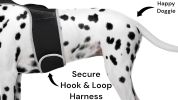 Wireless Realtime GPRS GSM GPS Tracking Collars for Dogs w/ Phone App Size:M