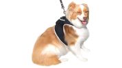 Pet Tracker Wireless Mini Collar Tracking Device with GPS Pet Tracking App Size:M