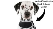 Wireless Realtime GPRS GSM GPS Tracking Collars for Dogs w/ Phone App Size:M