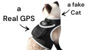 Wireless Surveillance Tracker w/ Consistent Pet Tracking App for Phone Size:M