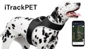 Waterproof Small Dog GPS Tracker Rechargeable Wireless Tracking Tools Size:M