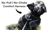 Wireless Realtime GPRS GSM GPS Tracking Collars for Dogs w/ Phone App Size:M