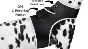 Wireless Realtime GPRS GSM GPS Tracking Collars for Dogs w/ Phone App Size:M