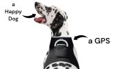 Pocket Waterproof Collar Mount GSM Puppy GPS Realtime Tracking Device Size:XL