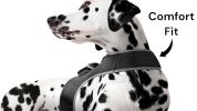 Collar Mount GPS Pet Tag Tracker Portable Realtime Tracking System w/ Phone App Size:XL