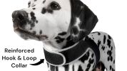 Pocket Waterproof Collar Mount GSM Puppy GPS Realtime Tracking Device Size:XL