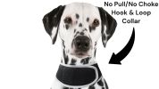 Collar Mount GPS Pet Tag Tracker Portable Realtime Tracking System w/ Phone App Size:XL