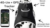 Collar Mount GPS Pet Tag Tracker Portable Realtime Tracking System w/ Phone App Size:XL