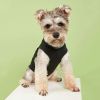 Pet Tank Top; "Security" Pattern Dog Vest Cat Clothes; For Small & Medium Dogs